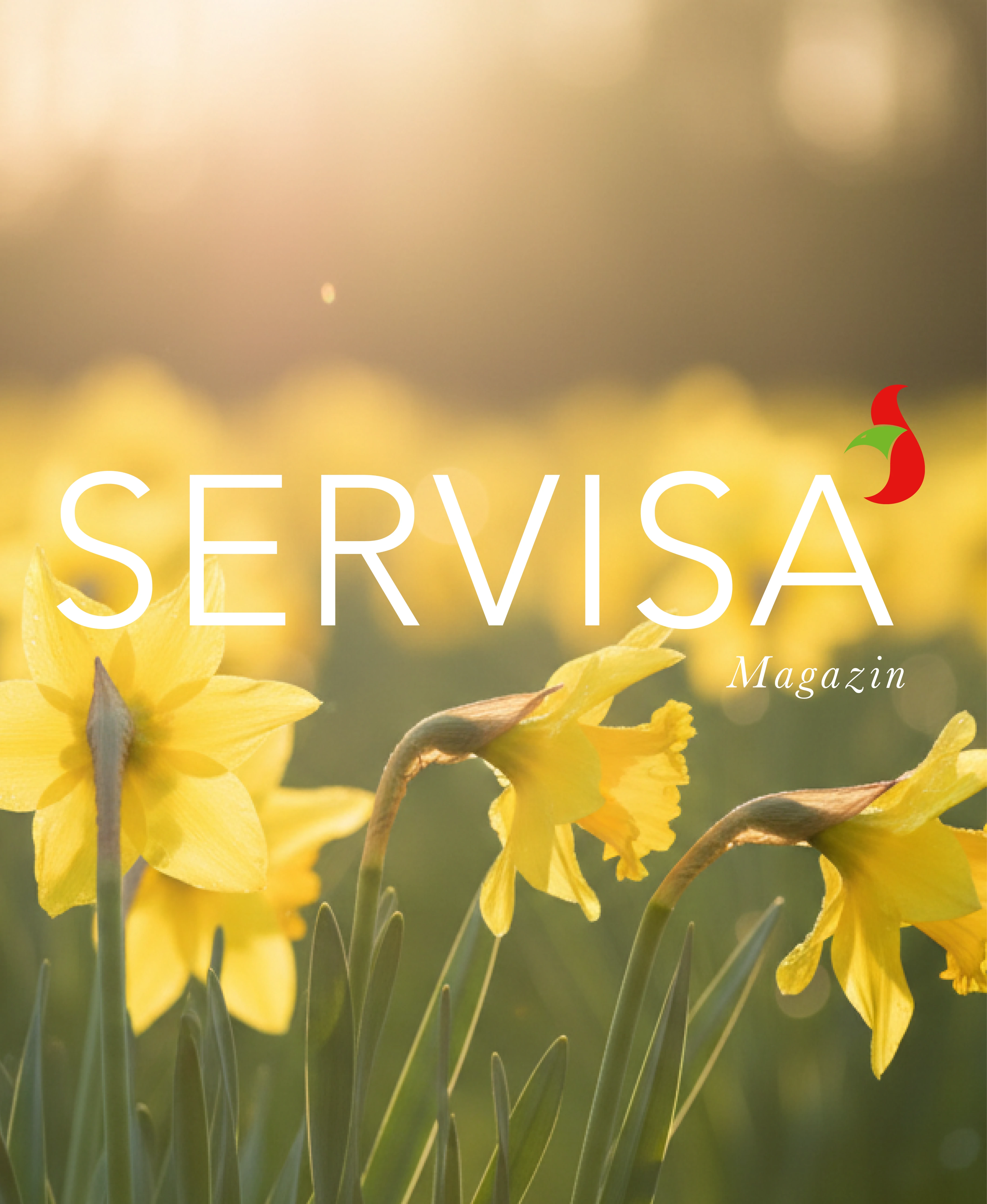 Servisa Banner