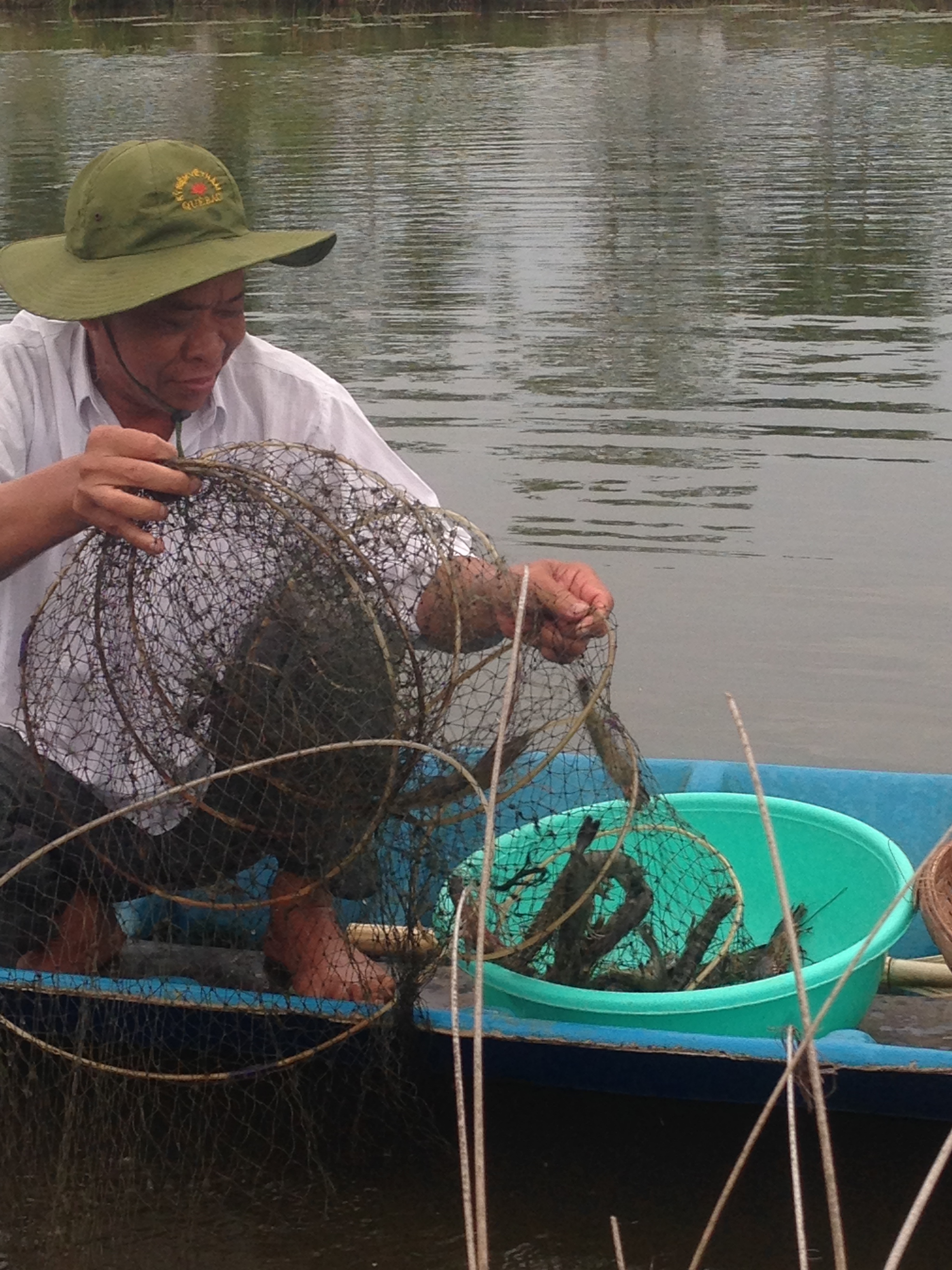 Vietnam Mermaid angelt Garnelen Vietnam Mermaid angelt Garnelen
